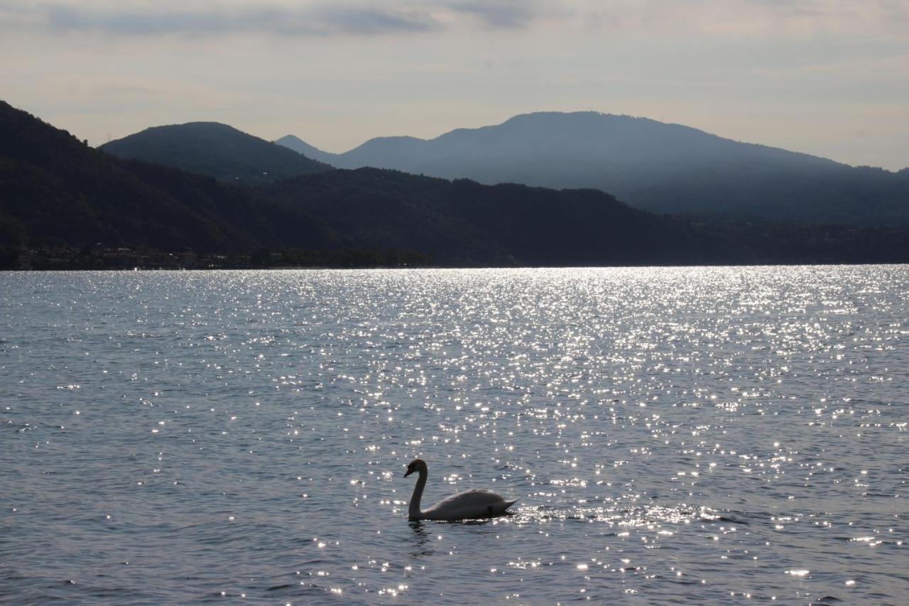 Hotel Millennium Locarno Dış mekan fotoğraf