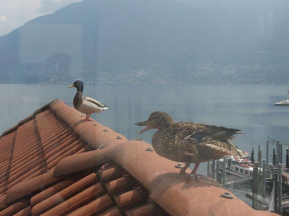 Hotel Millennium Locarno Dış mekan fotoğraf